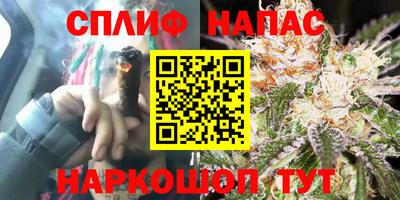 PSILOCYBIN Новодвинск