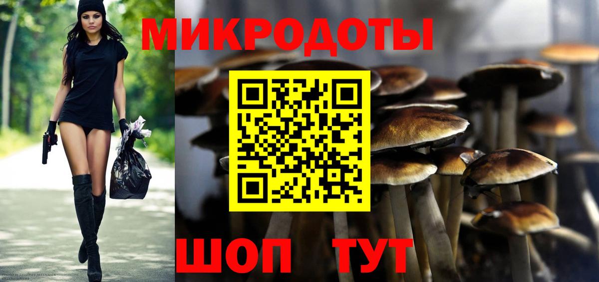 Псилоцибиновые грибы прущие грибы Хасавюрт